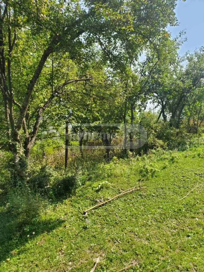 For Sale Sasoplo-Sameurneo Land Plot Gudaurshi, 3 of 4