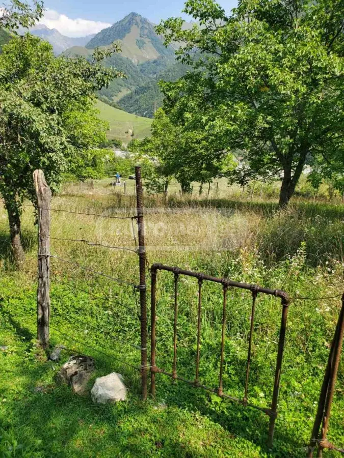 For Sale Sasoplo-Sameurneo Land Plot Gudaurshi, 4 of 4