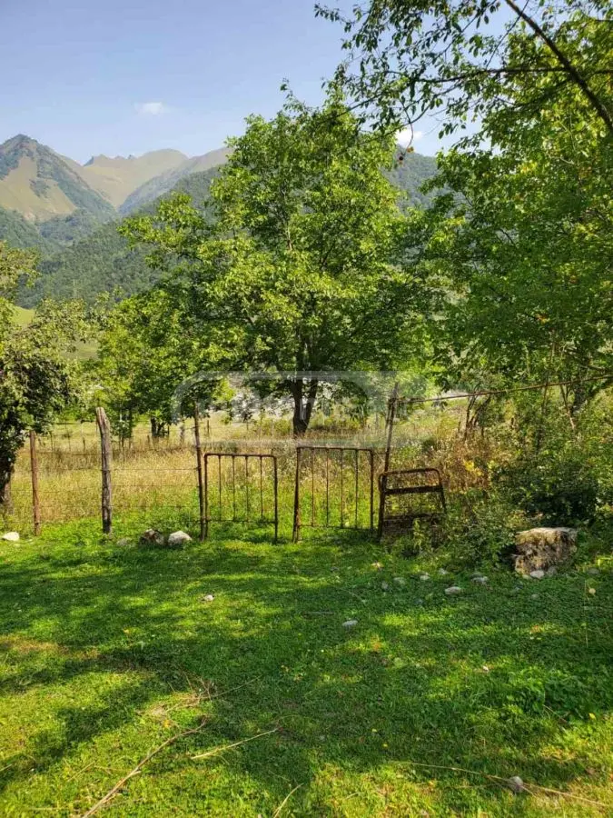 For Sale Sasoplo-Sameurneo Land Plot Gudaurshi, 2 of 4