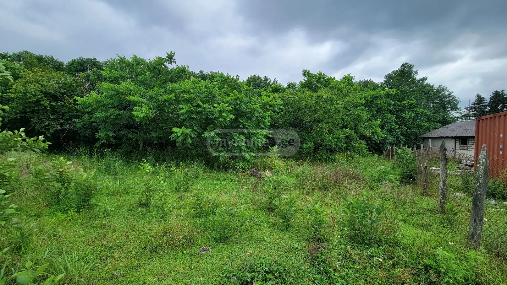 For Sale Sasoplo-Sameurneo Land Plot Ozurgetis Munitsipalitetshi view 4
