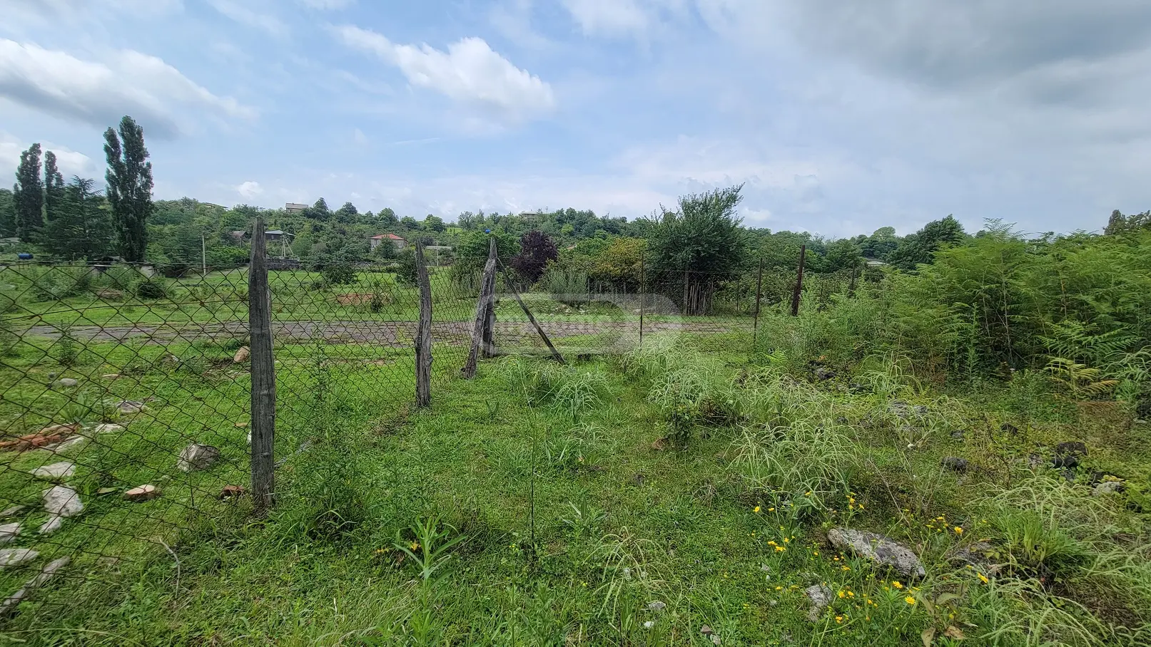 For Sale Sasoplo-Sameurneo Land Plot Ozurgetis Munitsipalitetshi view 5