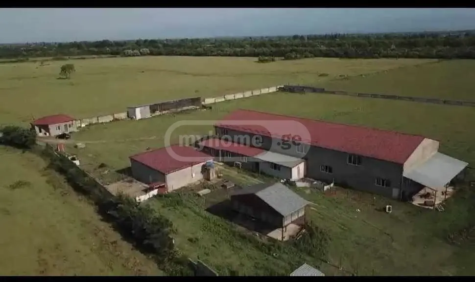 For Sale Satsarmoo Commercial Space Samtrediashi view 1
