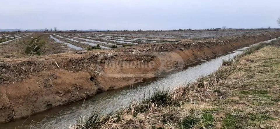 იყიდება მიწა / ნაკვეთი Lanchkhutis Munitsipalitetshiში view 2