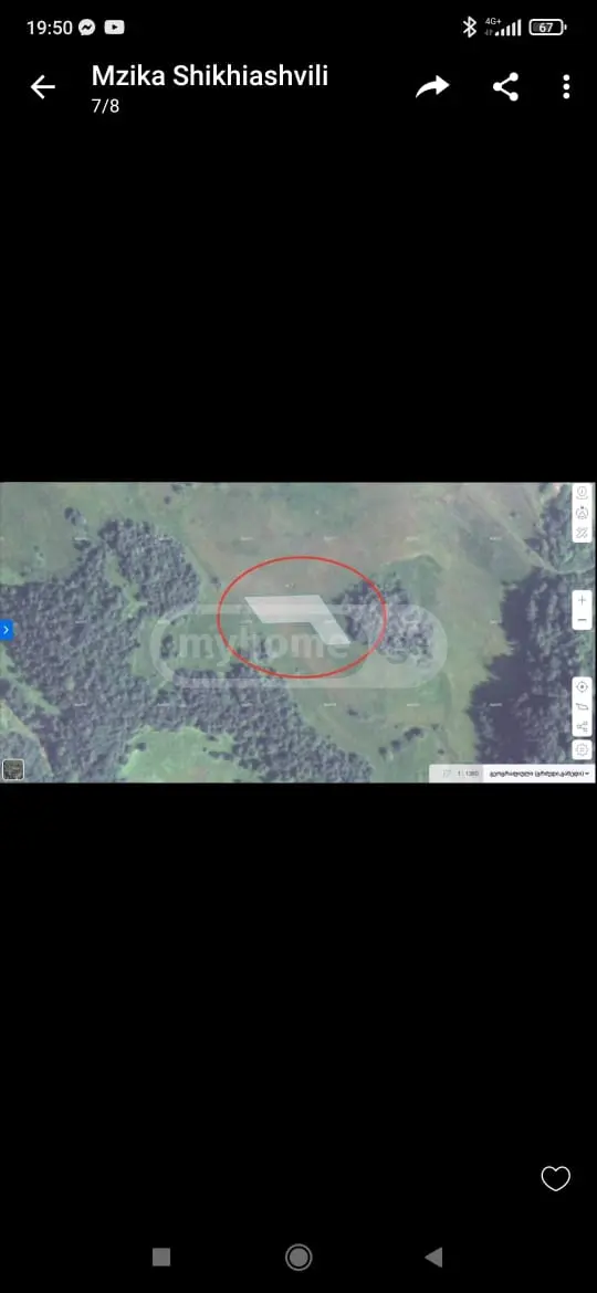 For Sale Sasoplo-Sameurneo Land Plot Gudaurshi, 3 of 4