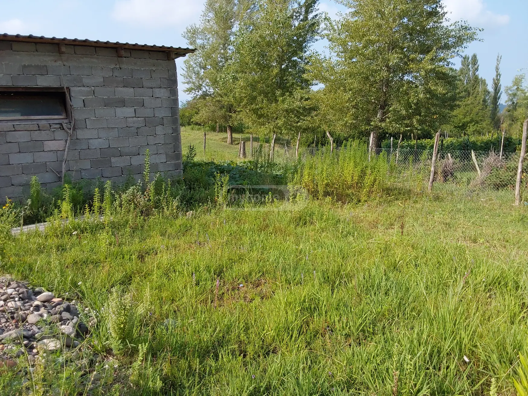 For Sale Satsarmoo Commercial Space Zestaponshi view 6