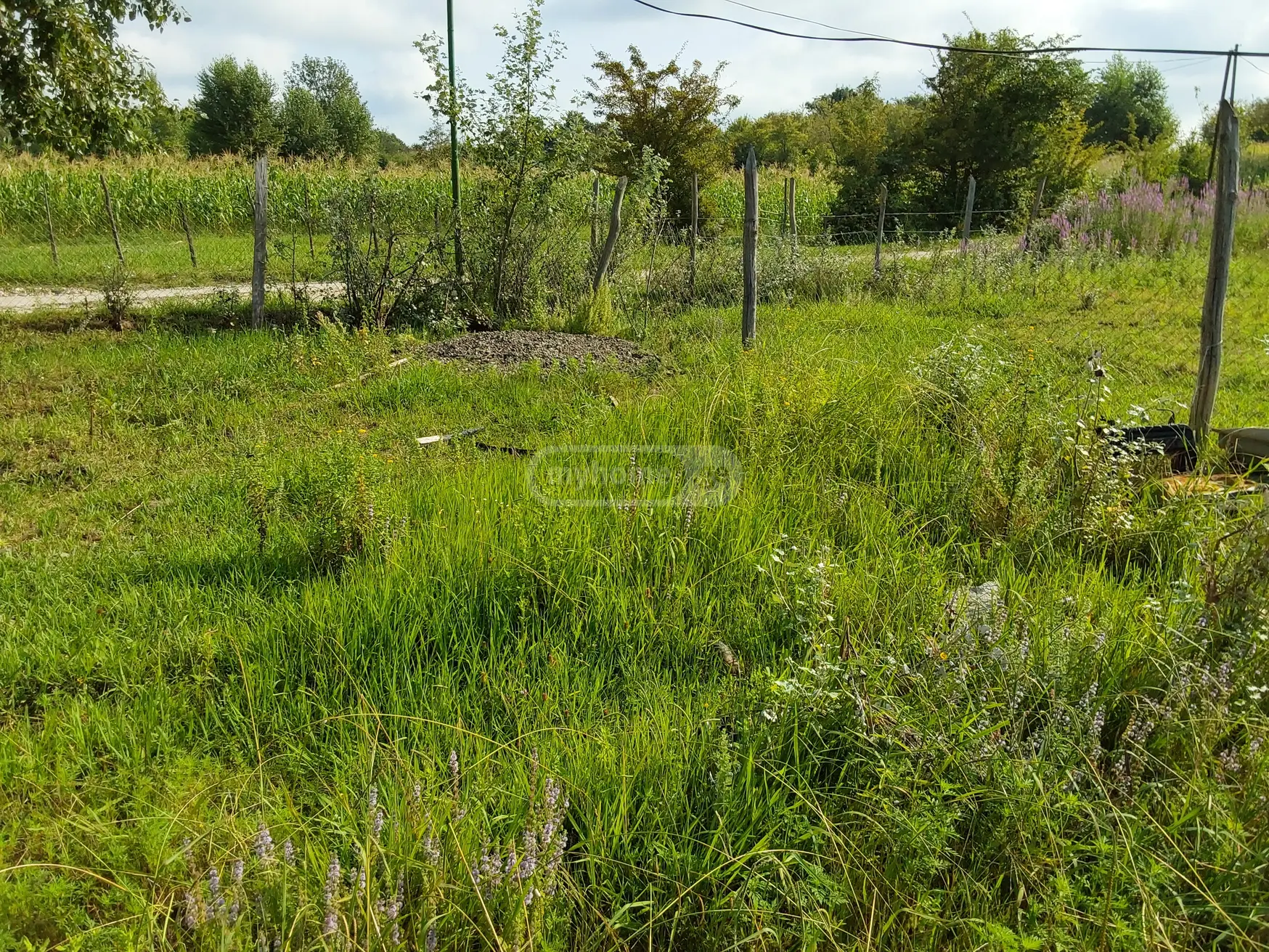 For Sale Satsarmoo Commercial Space Zestaponshi view 7