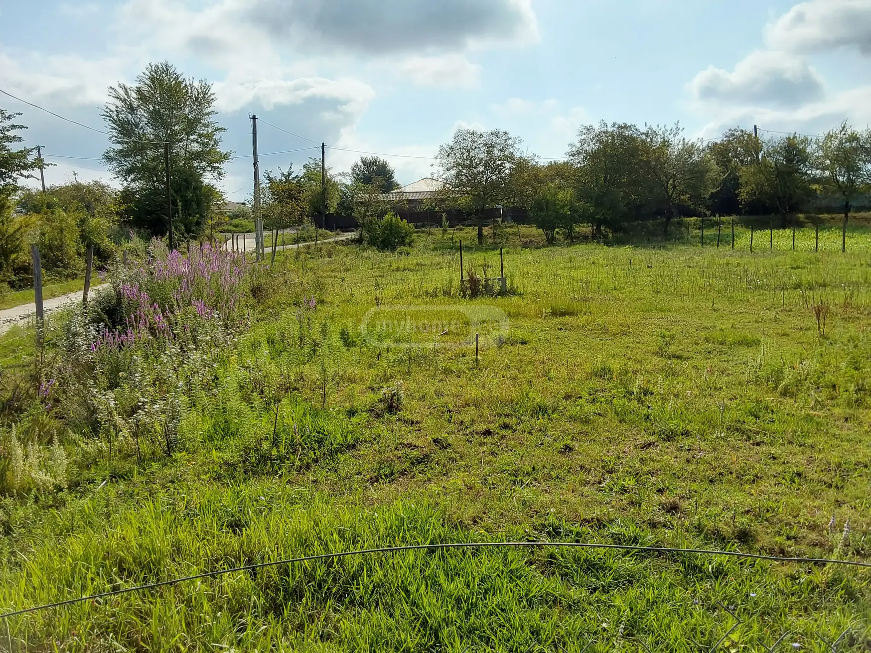 For Sale Satsarmoo Commercial Space Zestaponshi view 2