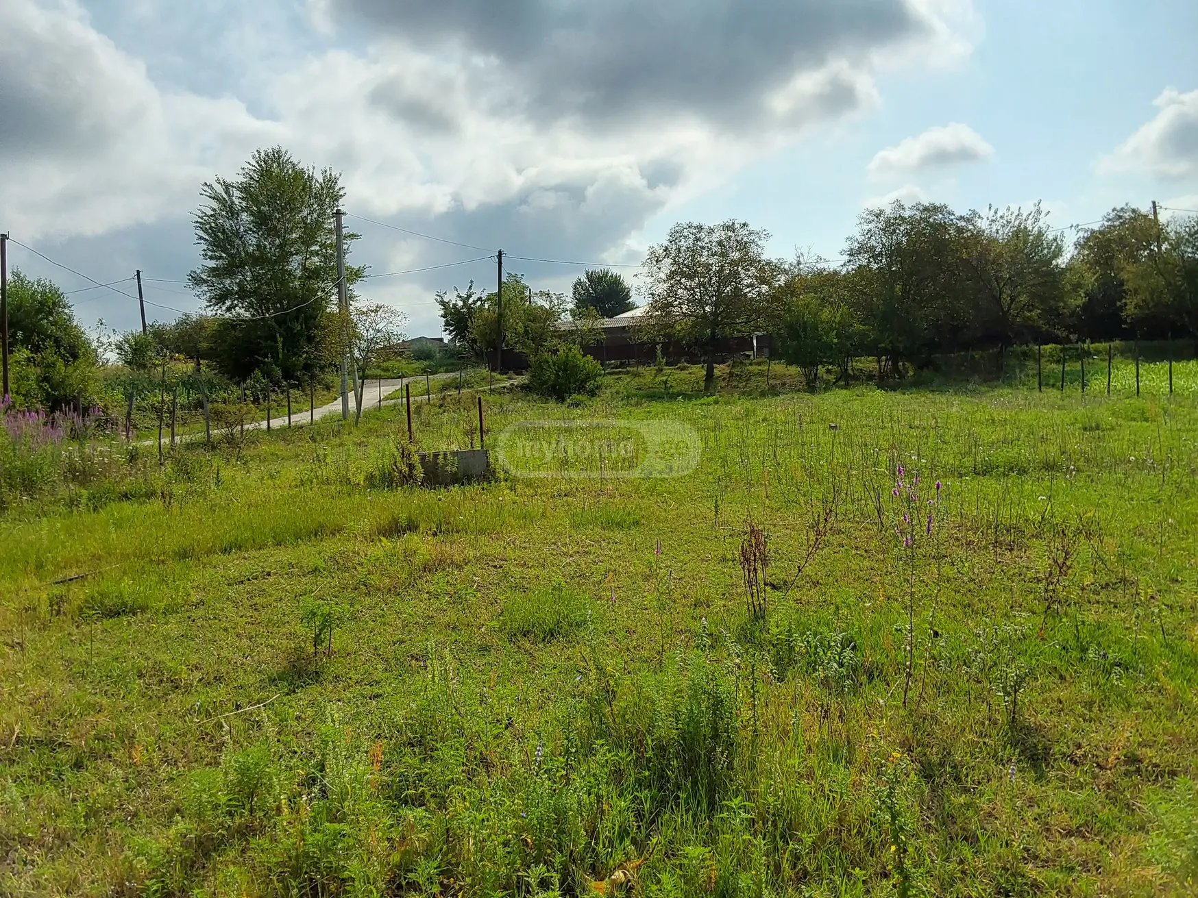 For Sale Satsarmoo Commercial Space Zestaponshi view 3