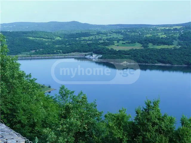 For Sale 5 Room Country House Tetritsqaros Raionshi view 12