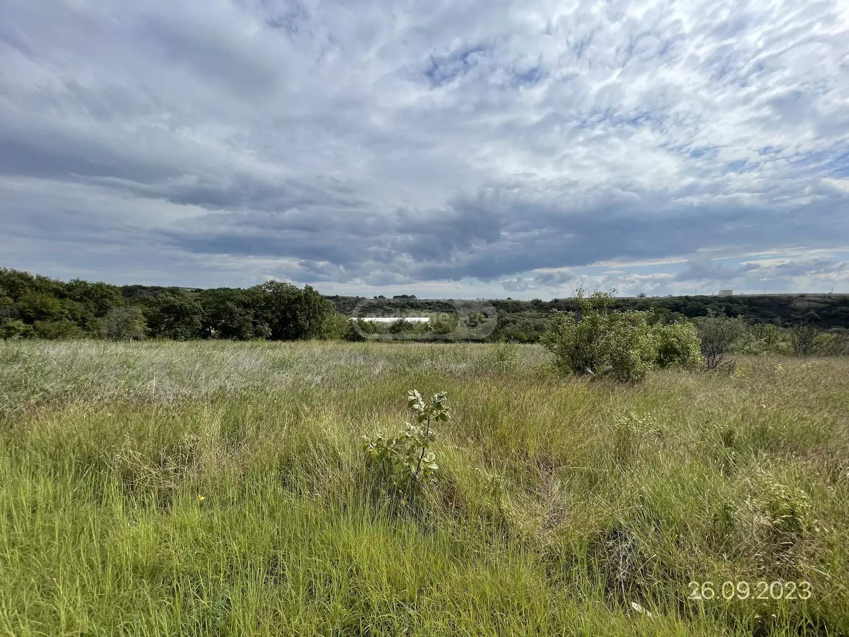 For Sale Sasoplo-Sameurneo Land Plot Gardabanshi view 3