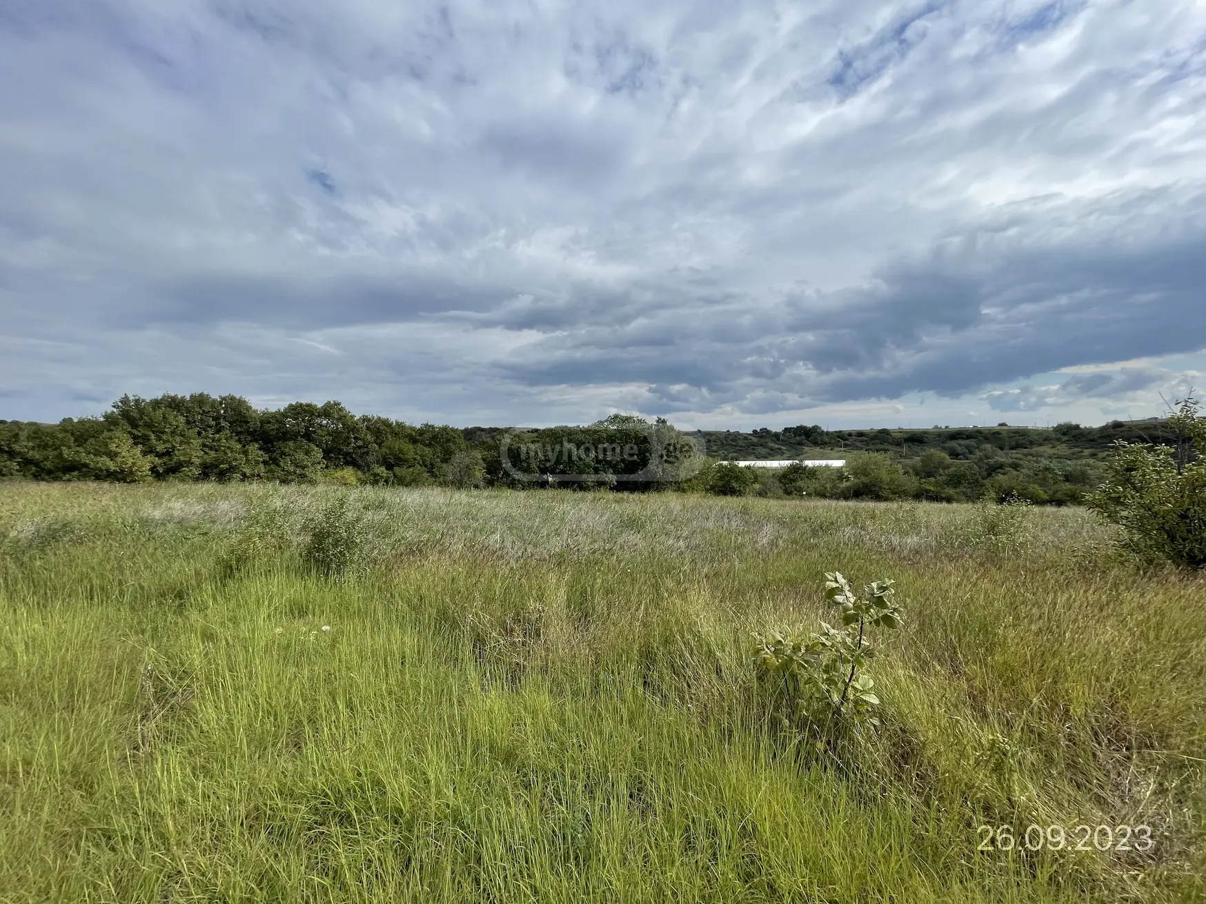 For Sale Sasoplo-Sameurneo Land Plot Gardabanshi view 4