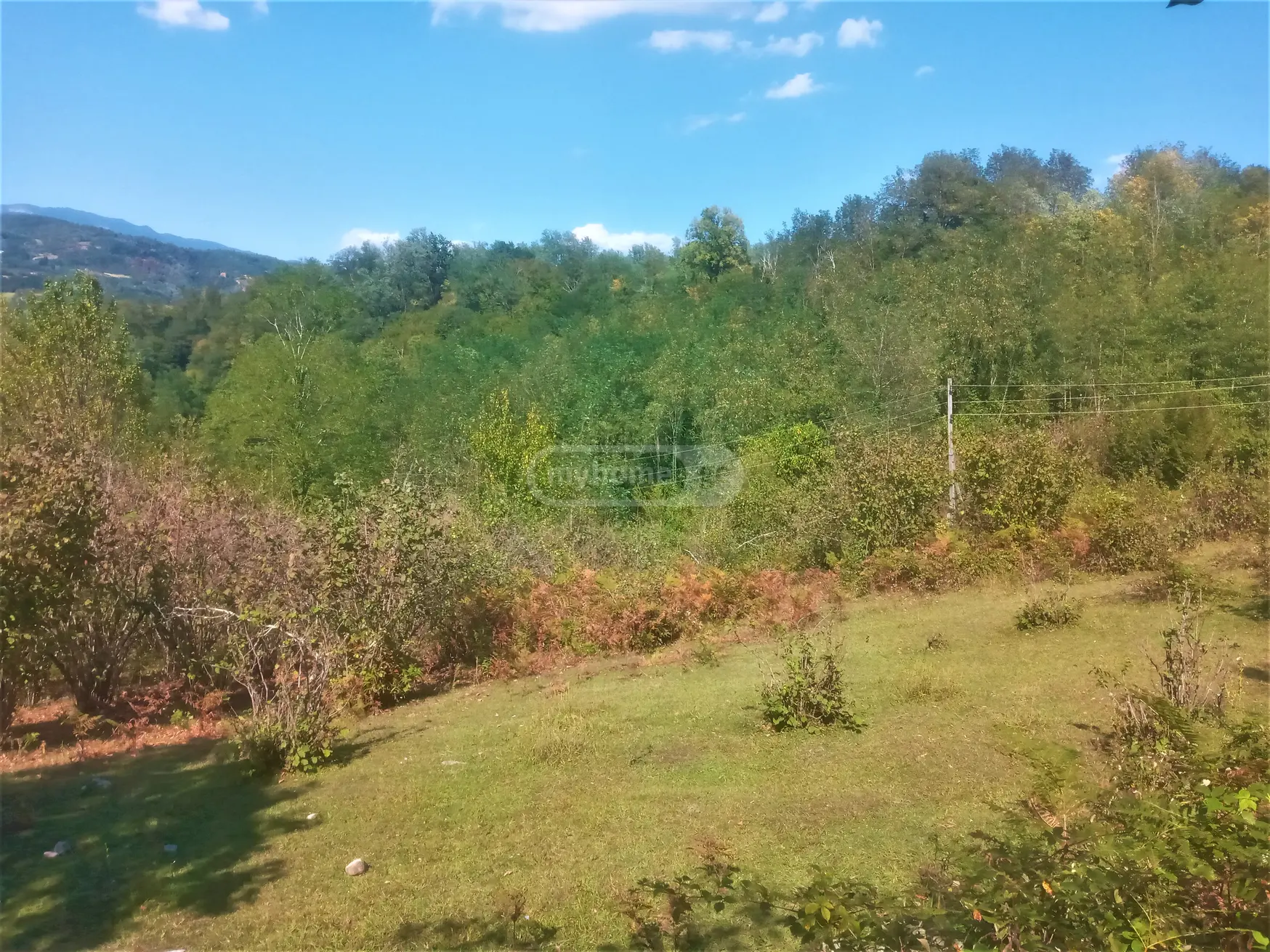 Продажа Земля / участок в Tqibulshi view 4