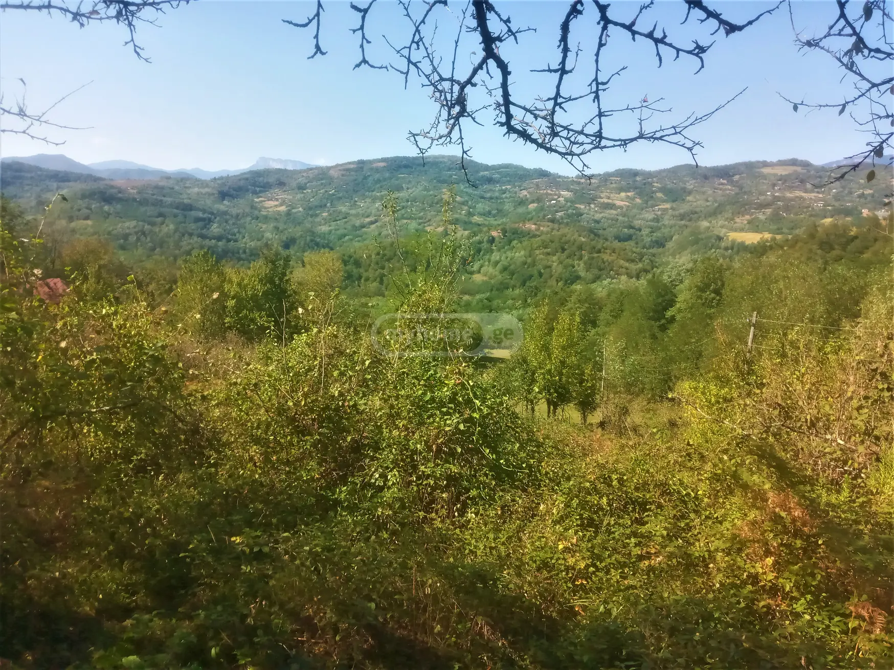 Продажа Земля / участок в Tqibulshi view 3