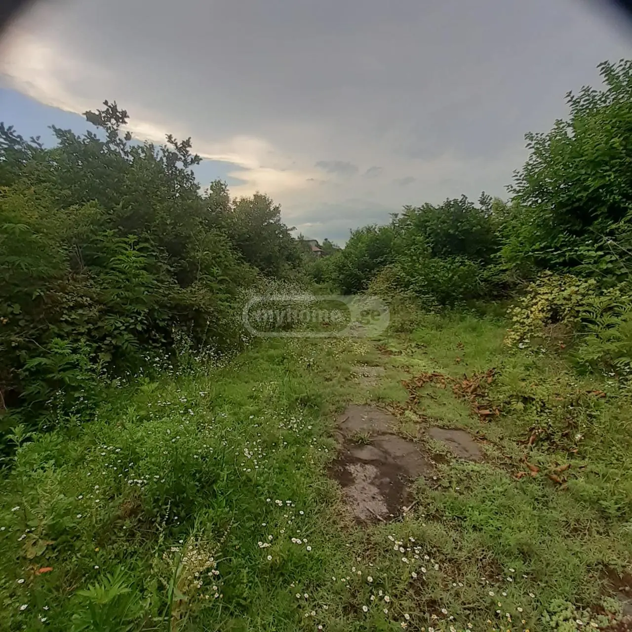 Продажа Земля / участок в Kobuletis Munitsipalitetshi view 5