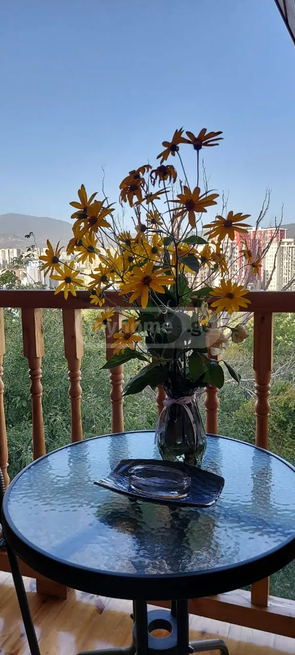 Daily Rent 3 Room Country House Temkaze view 8