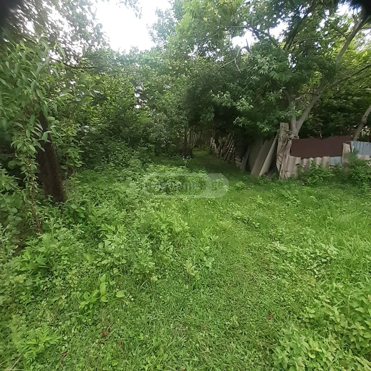 Продажа Земля / участок в Kobuletis Munitsipalitetshi view 4