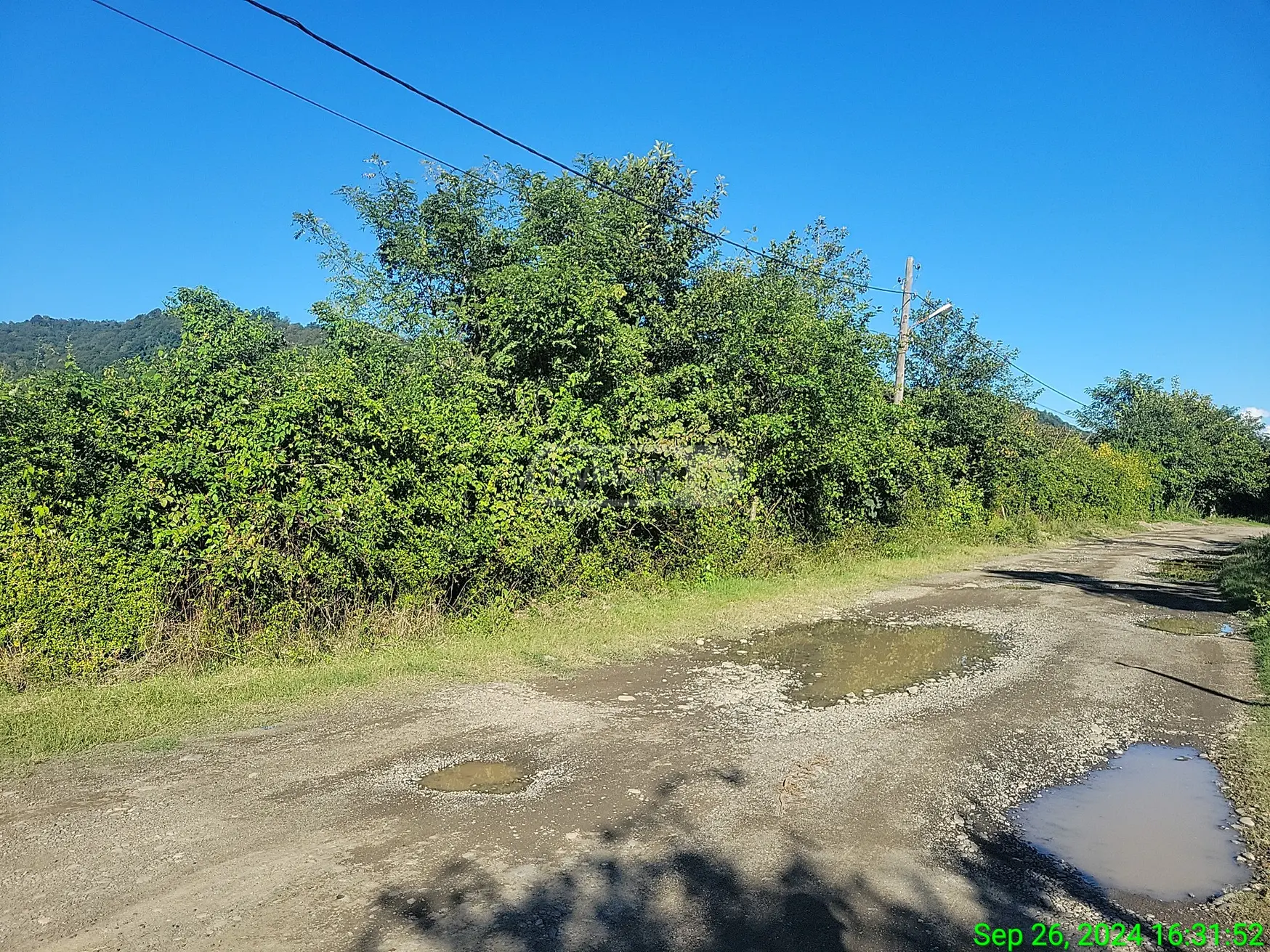 Продажа Земля / участок в Ozurgetshi view 8