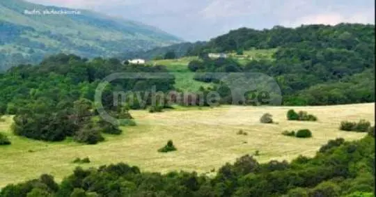 For Sale Sasoplo-Sameurneo Land Plot Gudaurshi, 1 of 4