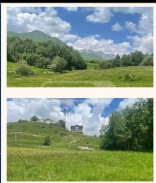 For Sale Sasoplo-Sameurneo Land Plot Gudaurshi, 2 of 4