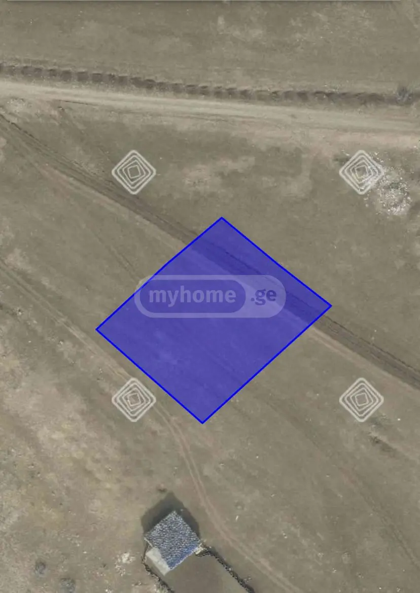 For Sale Sasoplo-Sameurneo Land Plot Tbilisis Zghvaze view 2