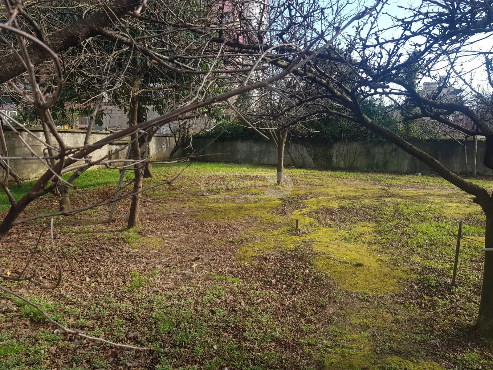 For Sale Ara Sasoplo-Sameurneo Land Plot In Batumi view 1