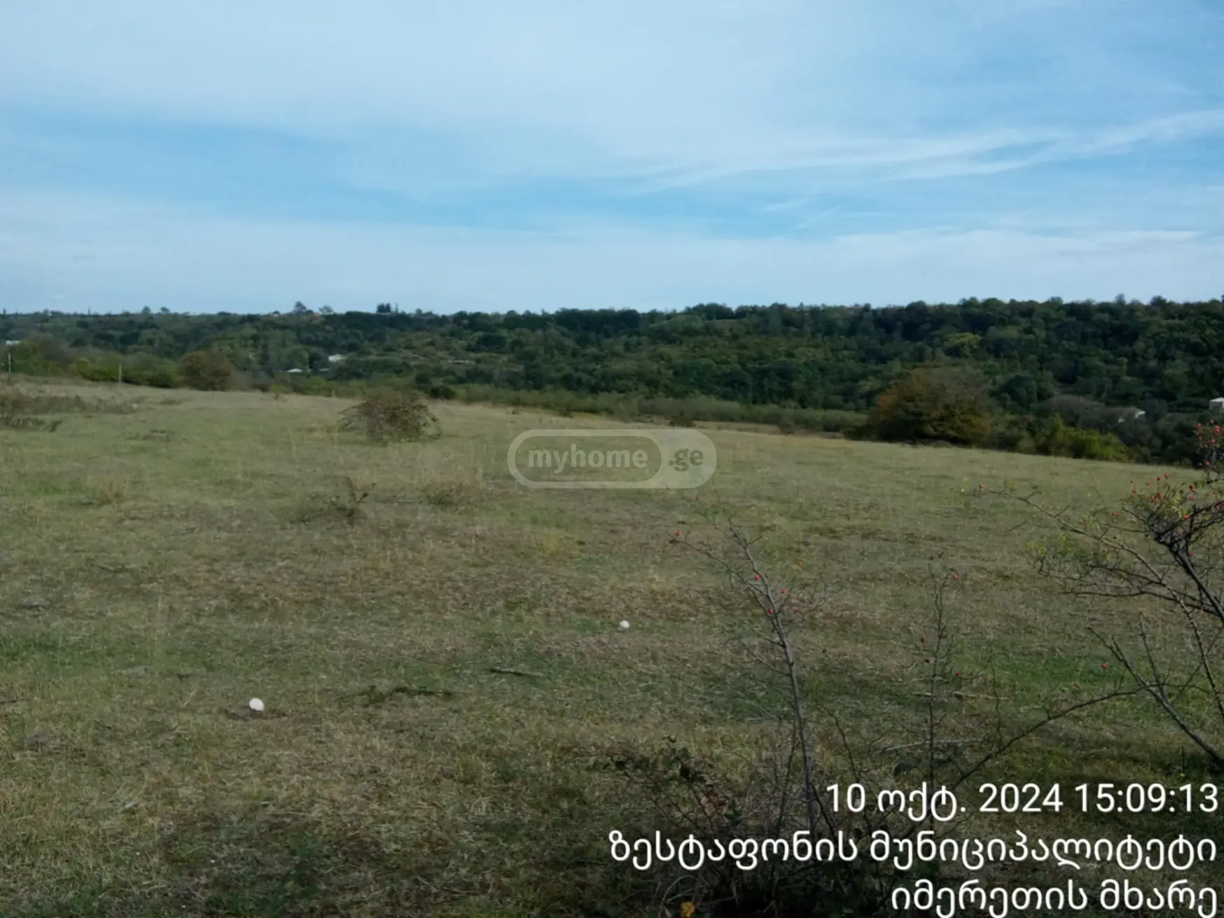 For Sale Sasoplo-Sameurneo Land Plot Zestaponshi view 3