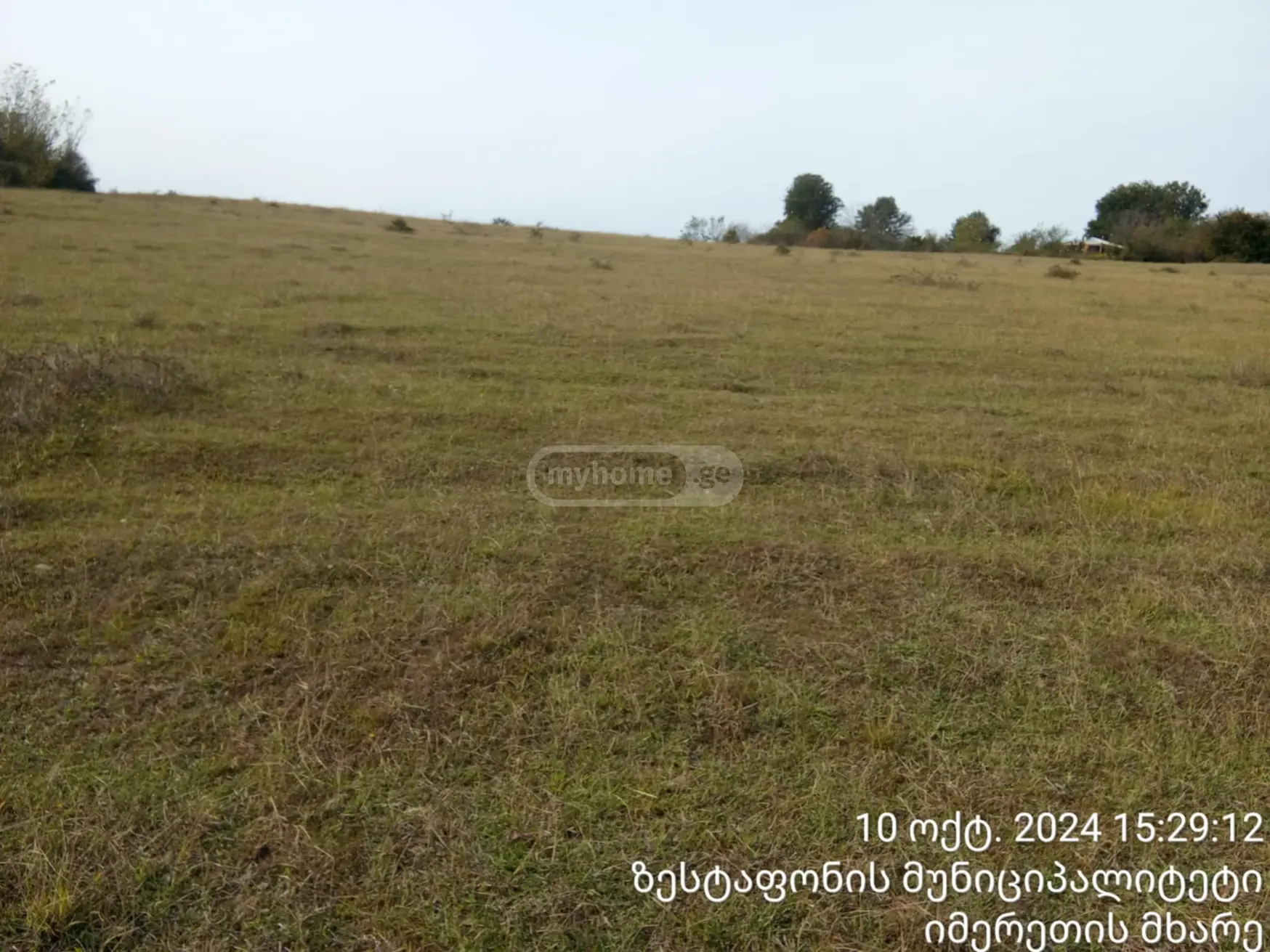 For Sale Sasoplo-Sameurneo Land Plot Zestaponshi view 4
