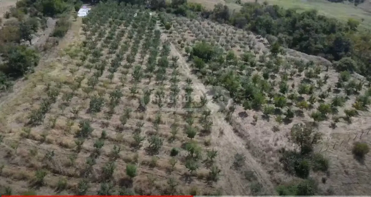 For Sale Sasoplo-Sameurneo Land Plot Tetritsqaros Raionshi view 5