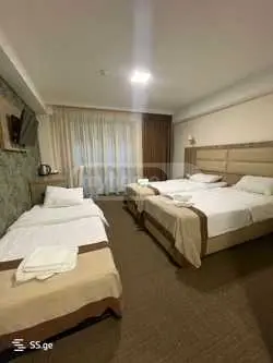For Rent 10+ Room Sastumro Avlabarshi, 3 of 4