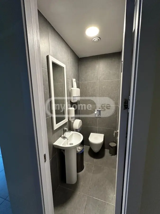 For Rent Saopise Commercial Space Mtatsmindaze view 8