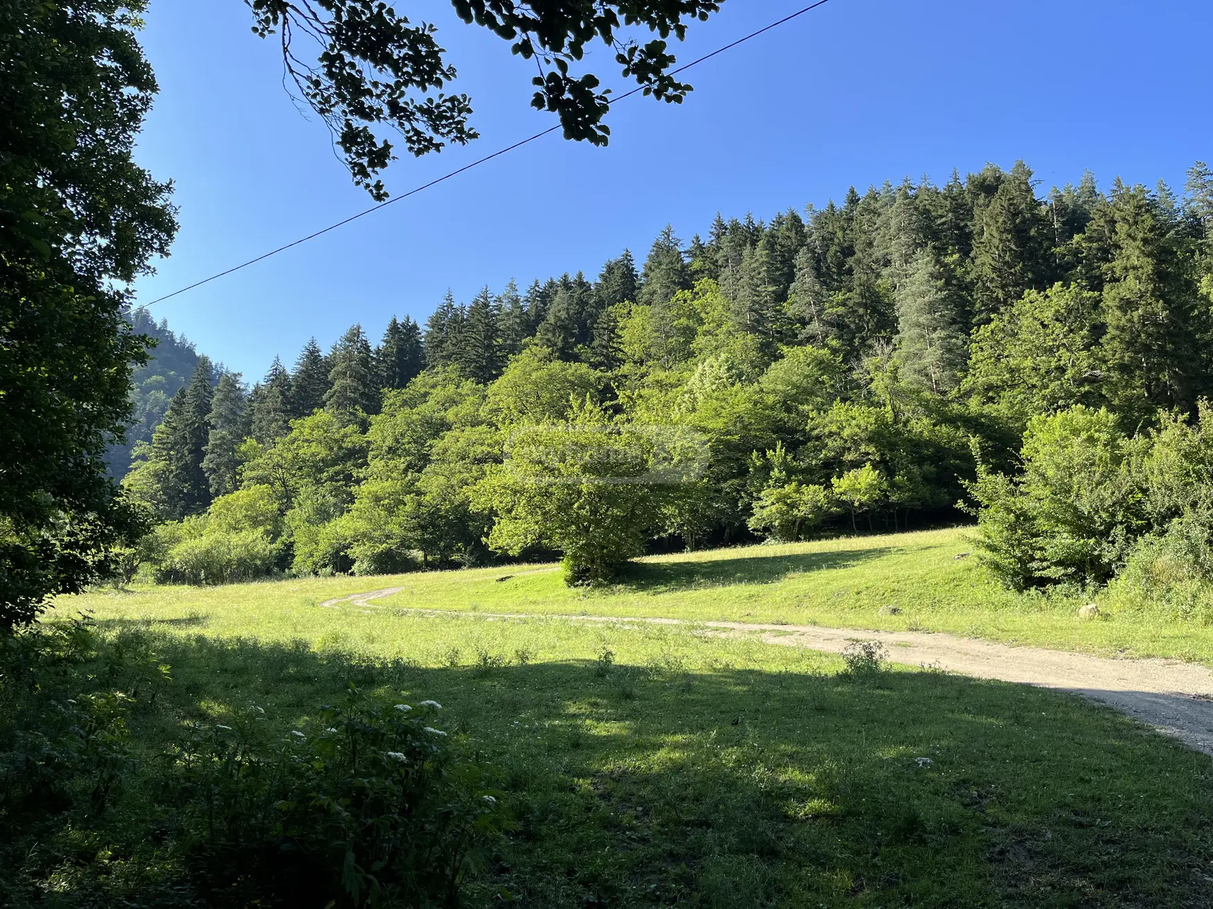 For Sale Sasoplo-Sameurneo Land Plot Borjomis Munitsipalitetshi view 2