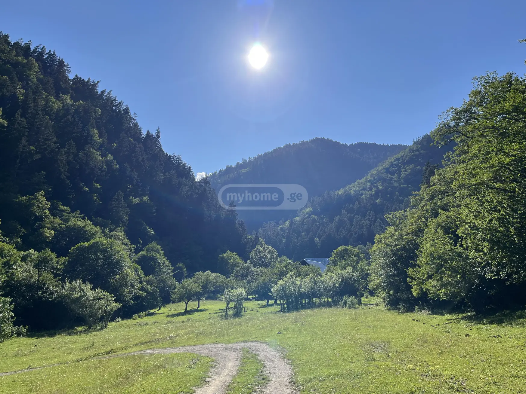 For Sale Sasoplo-Sameurneo Land Plot Borjomis Munitsipalitetshi view 1