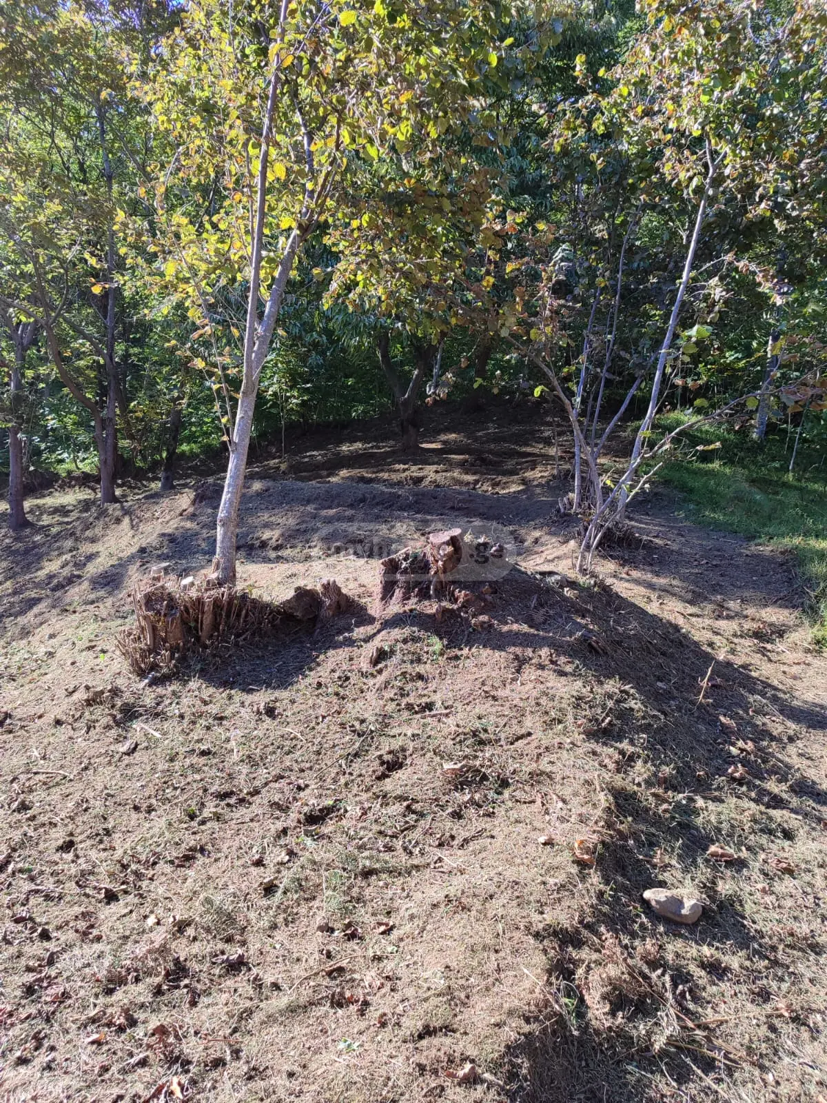 For Sale Sasoplo-Sameurneo Land Plot In Batumi, 7 of 7