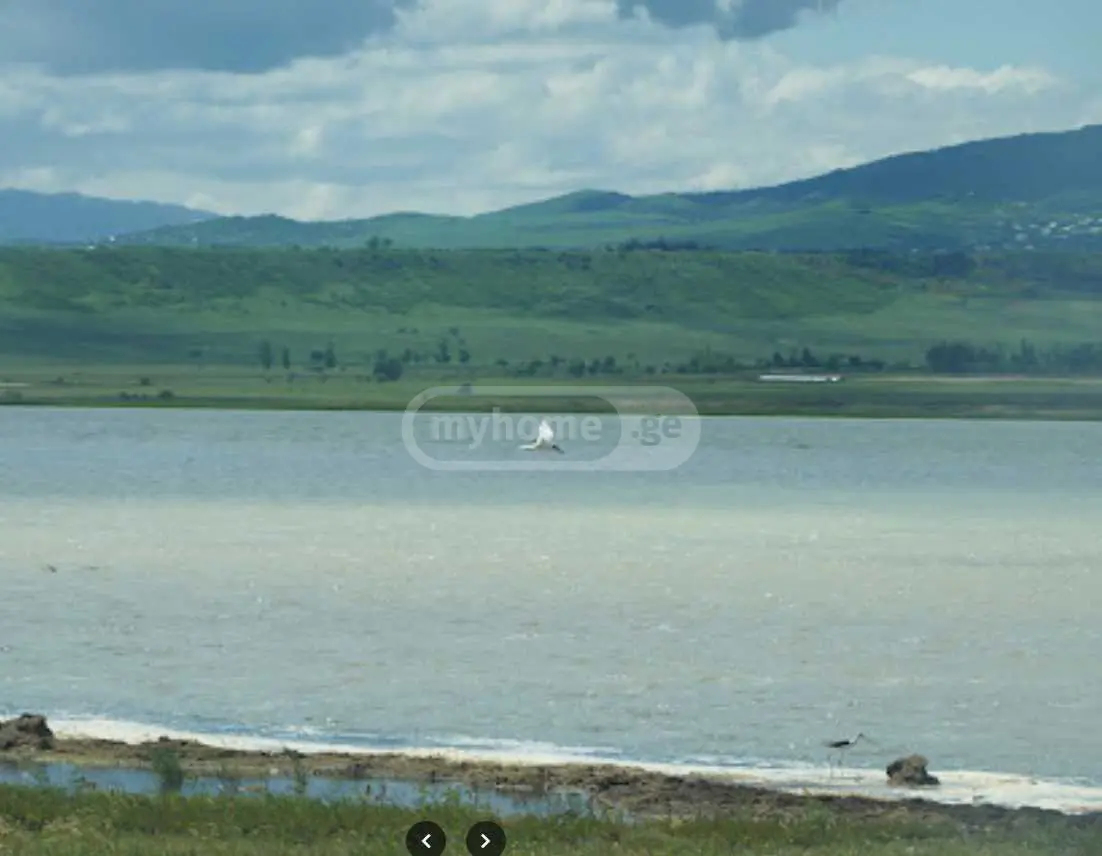 იყიდება მიწა / ნაკვეთი Gardabnis Munitsipalitetshiში view 1