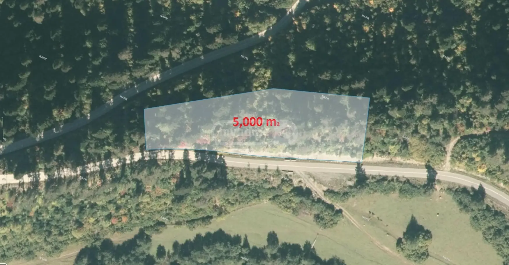 For Sale Sasoplo-Sameurneo Land Plot Mestiashi view 5