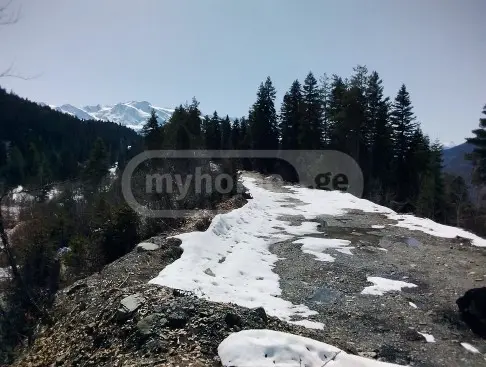 For Sale Sasoplo-Sameurneo Land Plot Mestiashi view 2