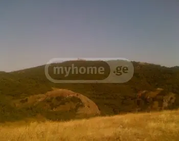 Продажа Земля / участок в Kiketshi view 9