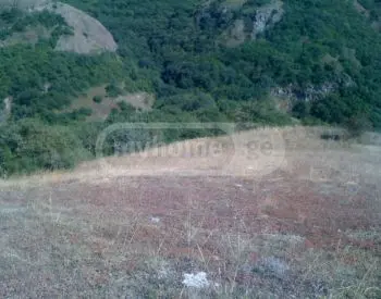 Продажа Земля / участок в Kiketshi view 5