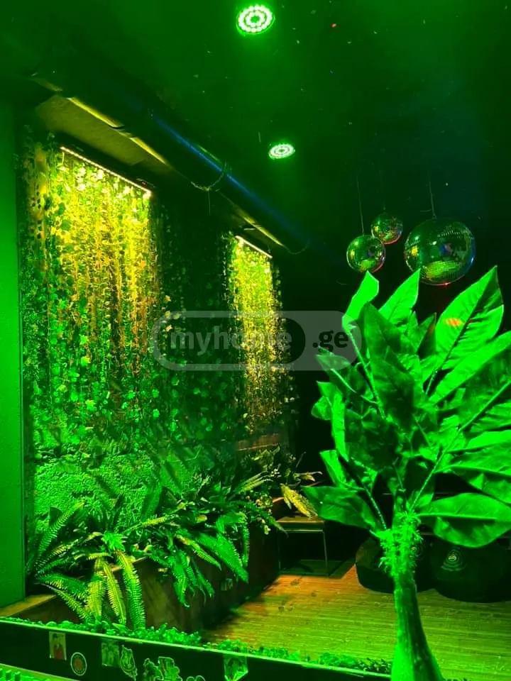 Daily Rent 2 Room Private House, 10 of 12
