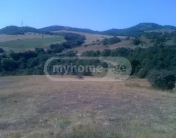 Продажа Земля / участок в Kiketshi view 1