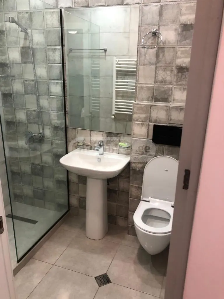 For Rent 10+ Room Sastumro Isanshi view 8