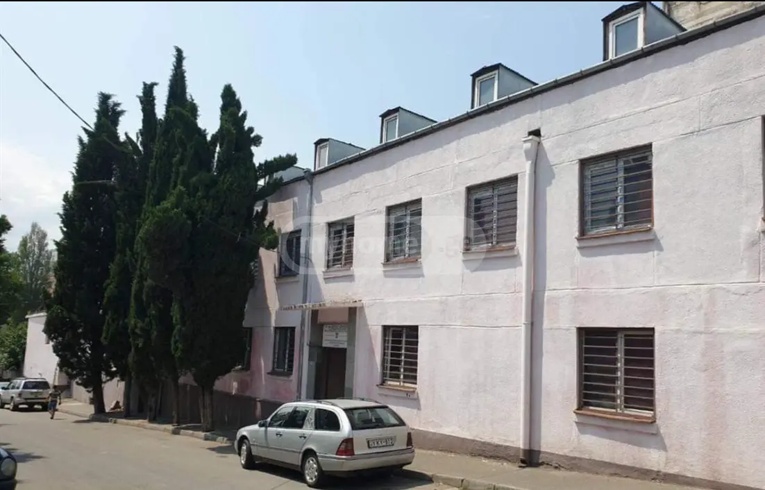 For Rent Mtliani Shenoba Commercial Space Nadzaladevshi view 1