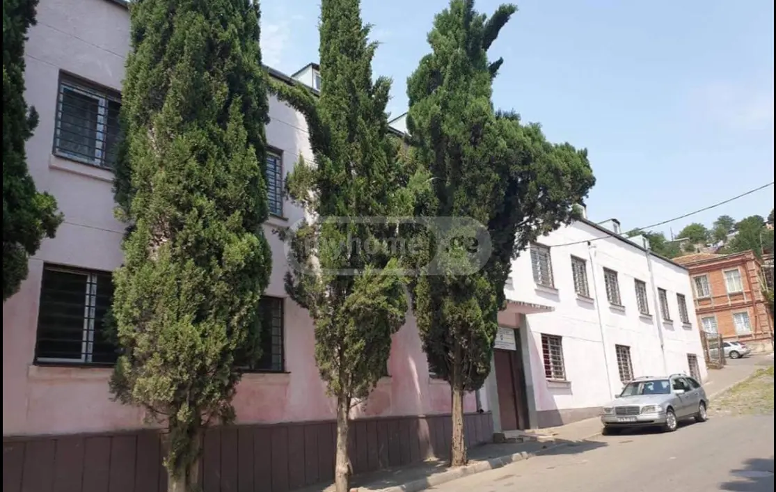 For Rent Mtliani Shenoba Commercial Space Nadzaladevshi view 2