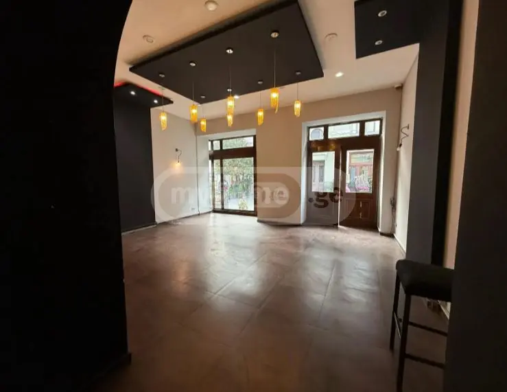 For Rent Universaluri Commercial Space Chughuretshi view 2