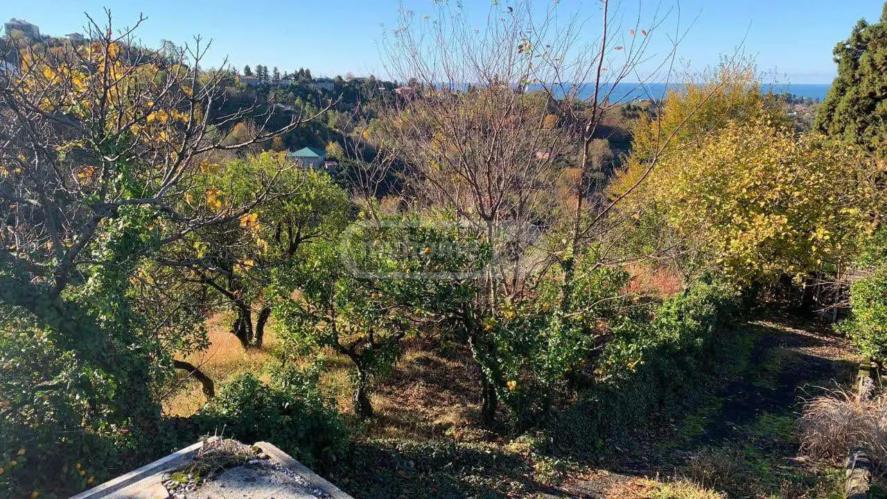 For Sale Sasoplo-Sameurneo Land Plot Kobuletis Munitsipalitetshi view 6