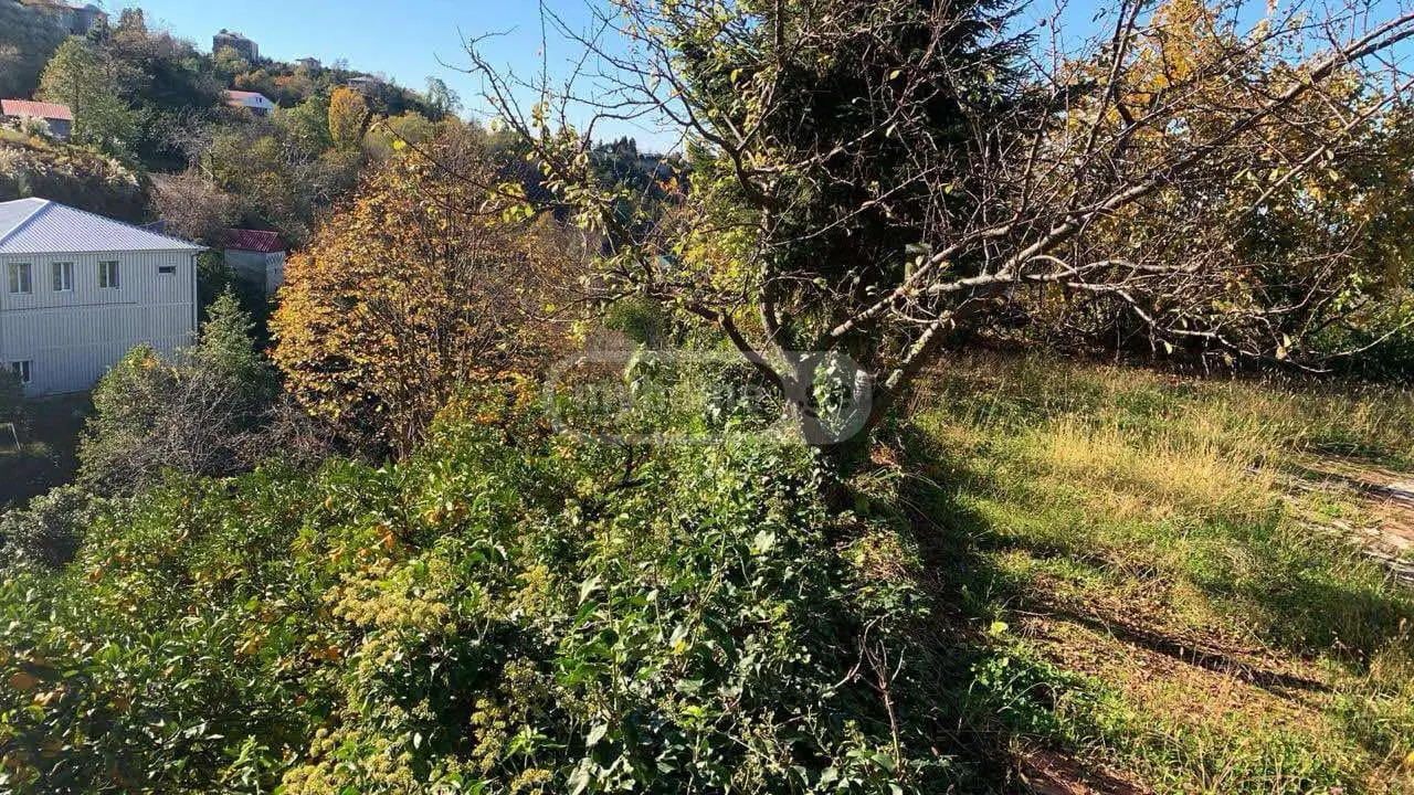 For Sale Sasoplo-Sameurneo Land Plot Kobuletis Munitsipalitetshi view 5