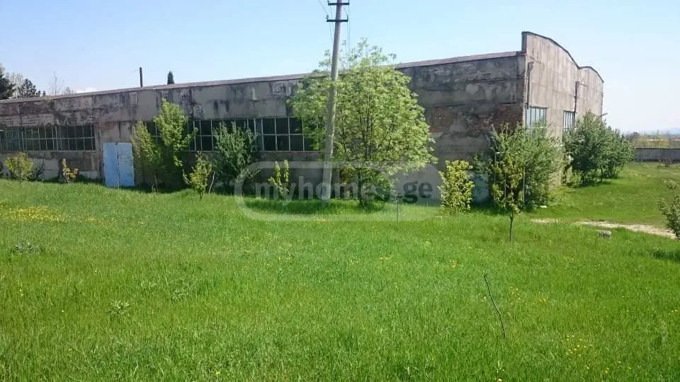 For Sale Satsarmoo Commercial Space Sagarejoshi view 5