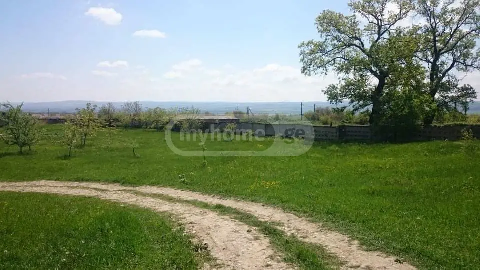 For Sale Satsarmoo Commercial Space Sagarejoshi view 3