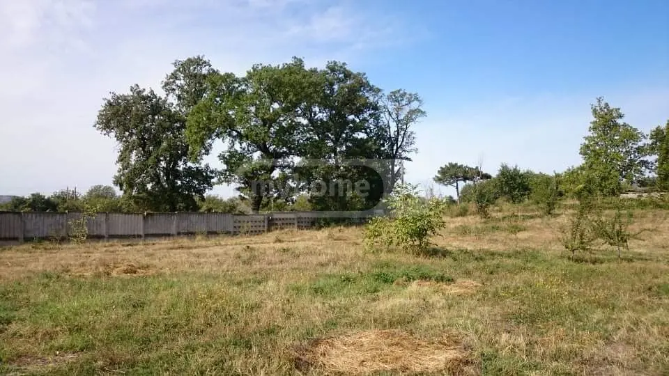 For Sale Satsarmoo Commercial Space Sagarejoshi view 9