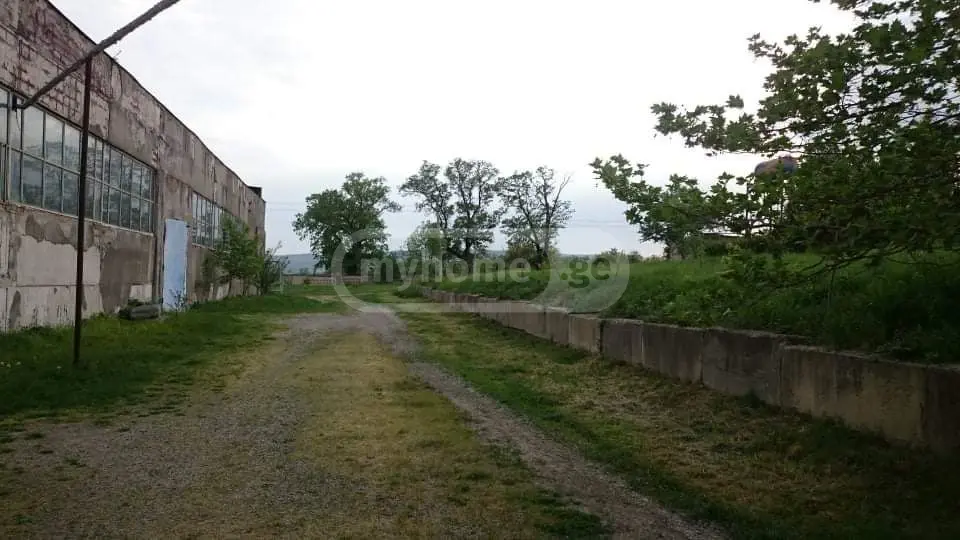 For Sale Satsarmoo Commercial Space Sagarejoshi view 7